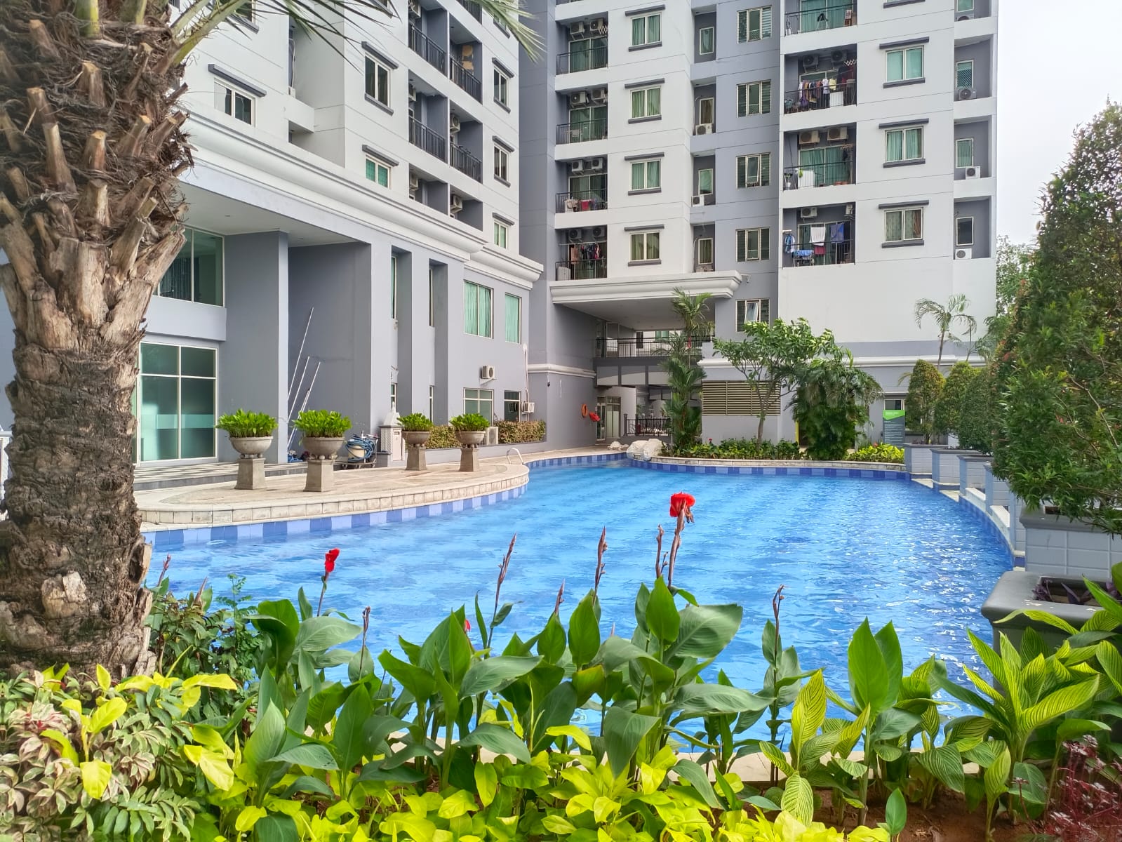 upload/facility_information/kolam renang/Swimming Pool3.jpeg